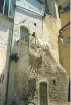 Mugnale in Vico Tesoro (Foto Tota)