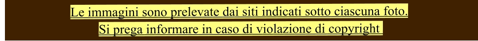Le immagini sono prelevate dai siti indicati sotto ciascuna foto.  Si prega informare in caso di violazione di copyright