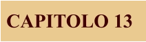 CAPITOLO 13