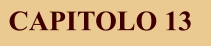 CAPITOLO 13