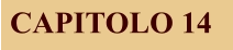 CAPITOLO 14