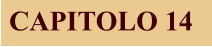 CAPITOLO 14