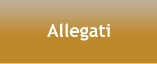 Allegati